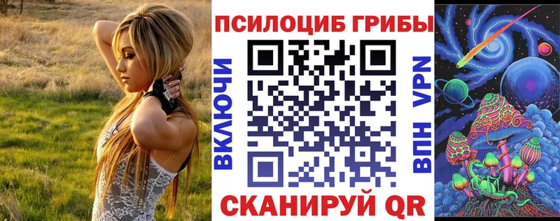 купить наркоту  Ужур  Галлюциногенные грибы Magic Shrooms 